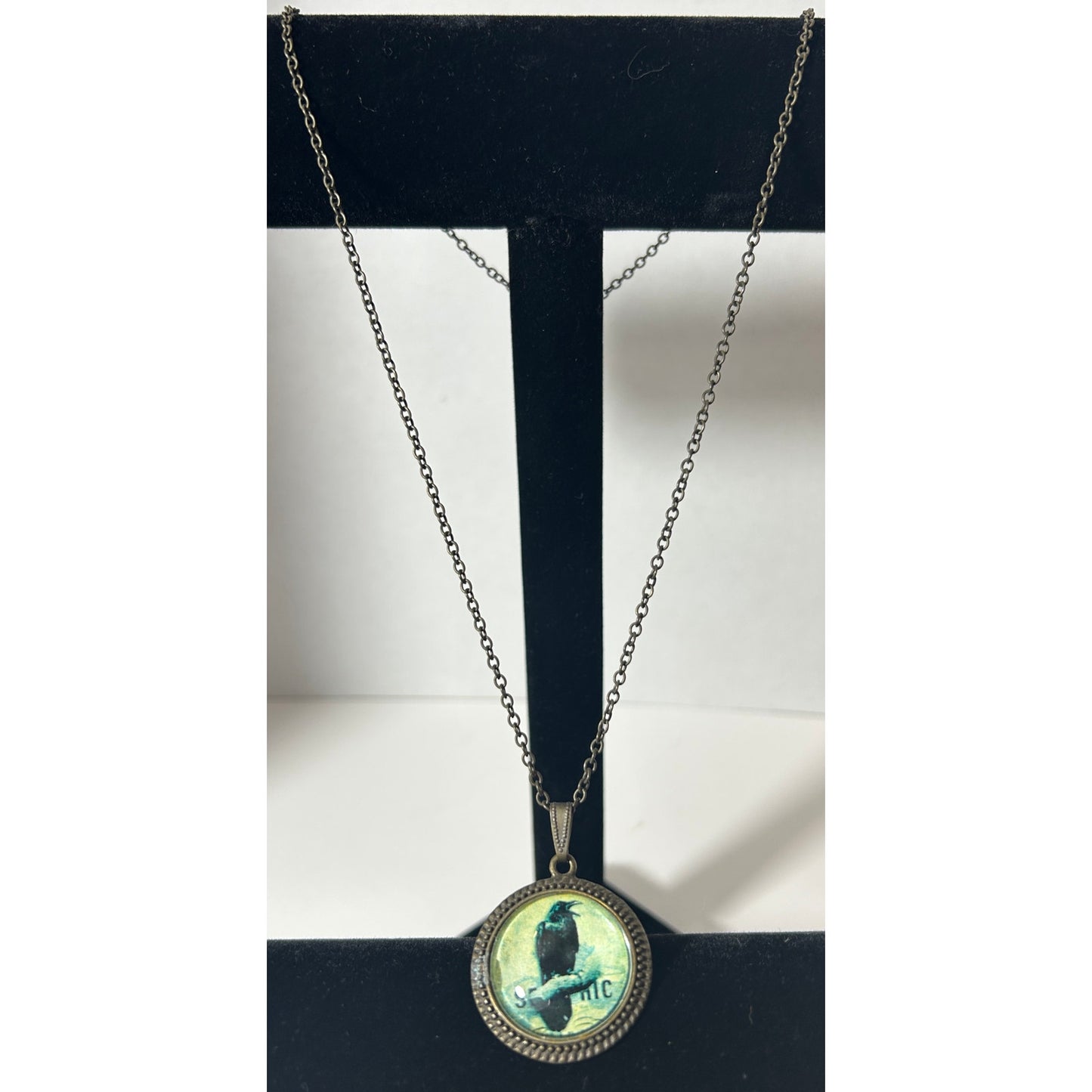 Vintage-Inspired Glass Dome Raven Pendant Necklace with Brass Chain, 21.25"