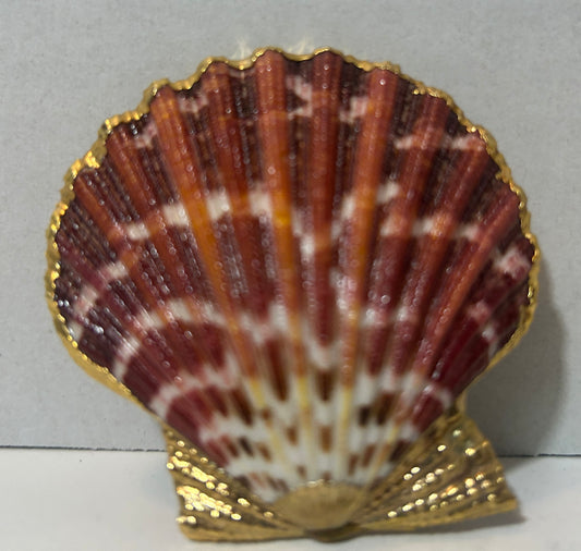 Vintage Real Scallop Shell Napkin Holder with Gold Trim – Brass Clip Back Coastal Decor
