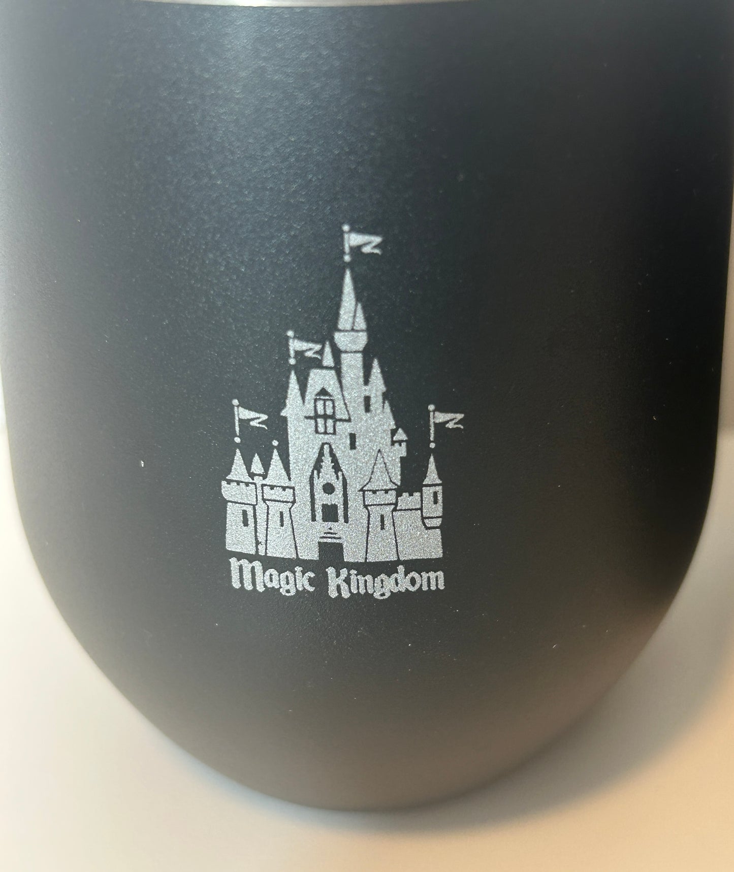 Magic Kingdom Stainless Steel Tumblers (Set of 2)