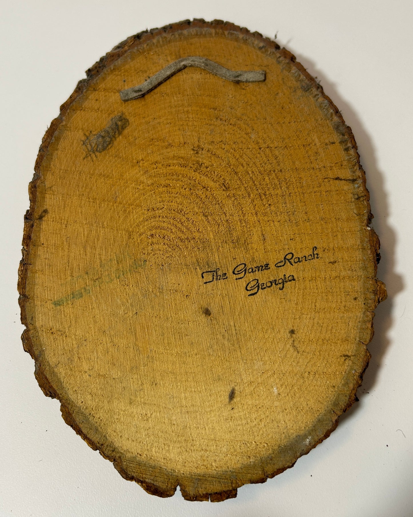 Vintage Paul White Wildlife Art on Wood Slice – The Game Ranch Georgia Souvenir Wall Plaque