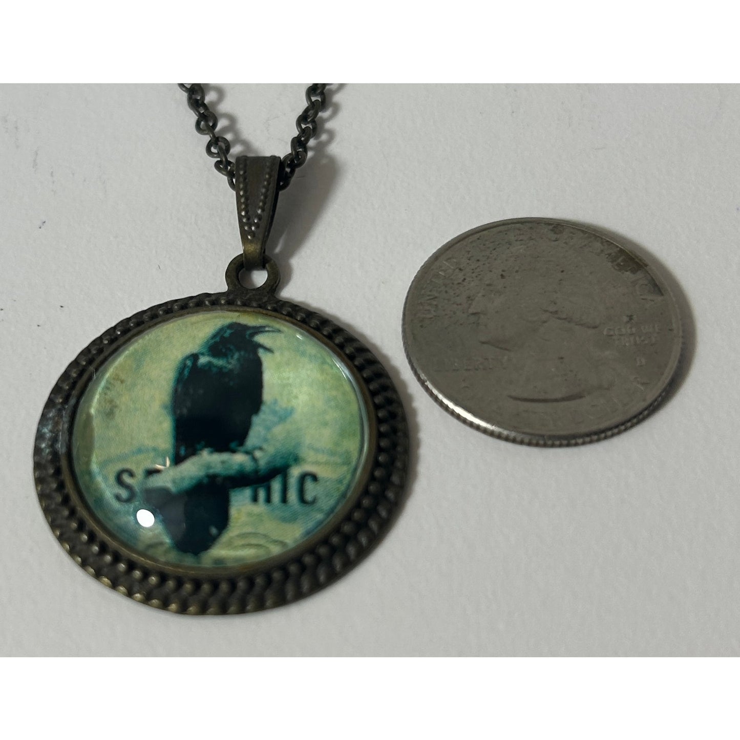 Vintage-Inspired Glass Dome Raven Pendant Necklace with Brass Chain, 21.25"